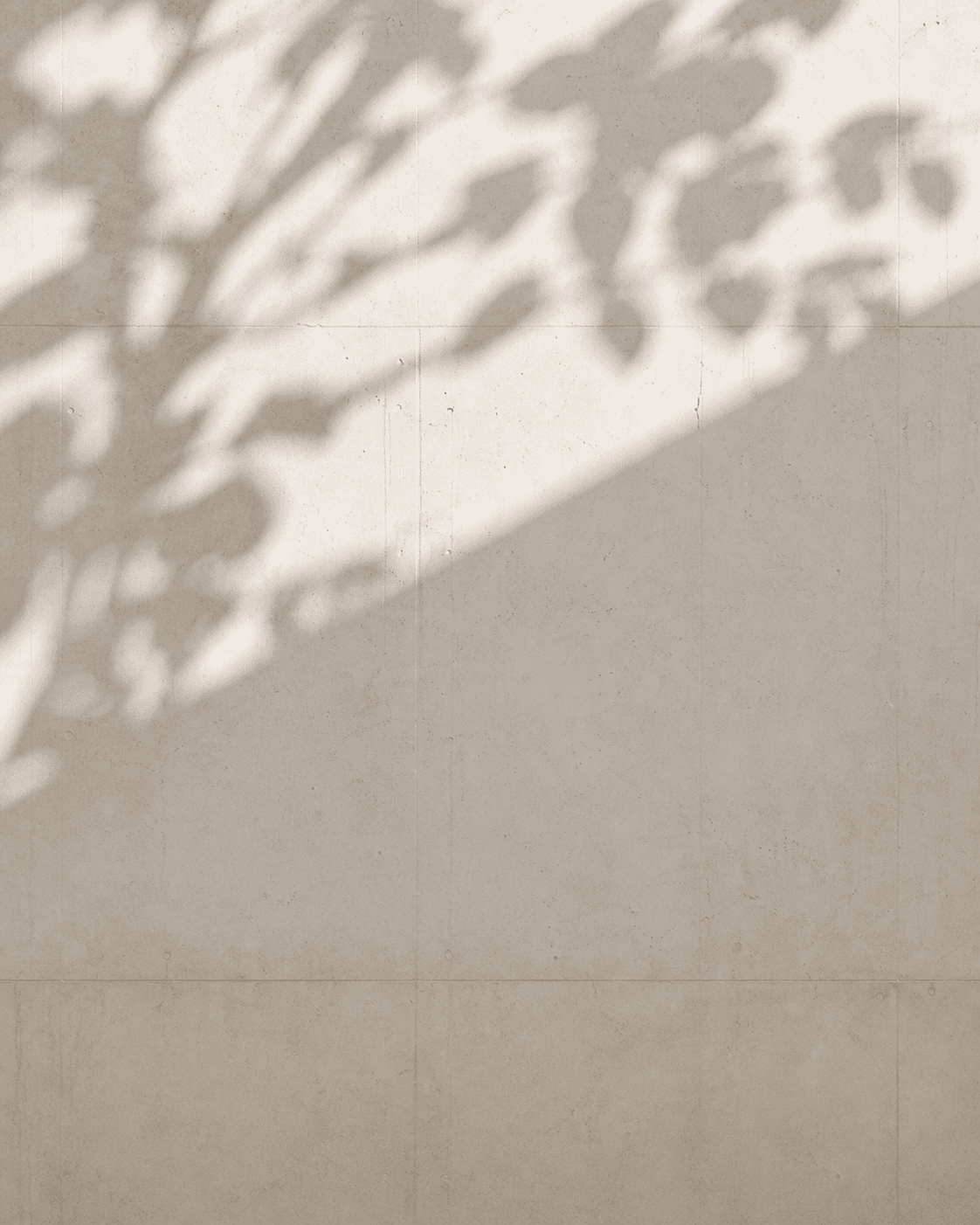 Concrete wall with soft leaf shadow