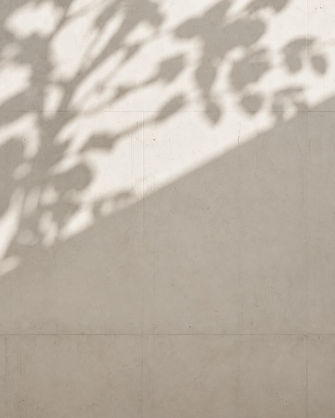 Concrete wall with soft leaf shadow
