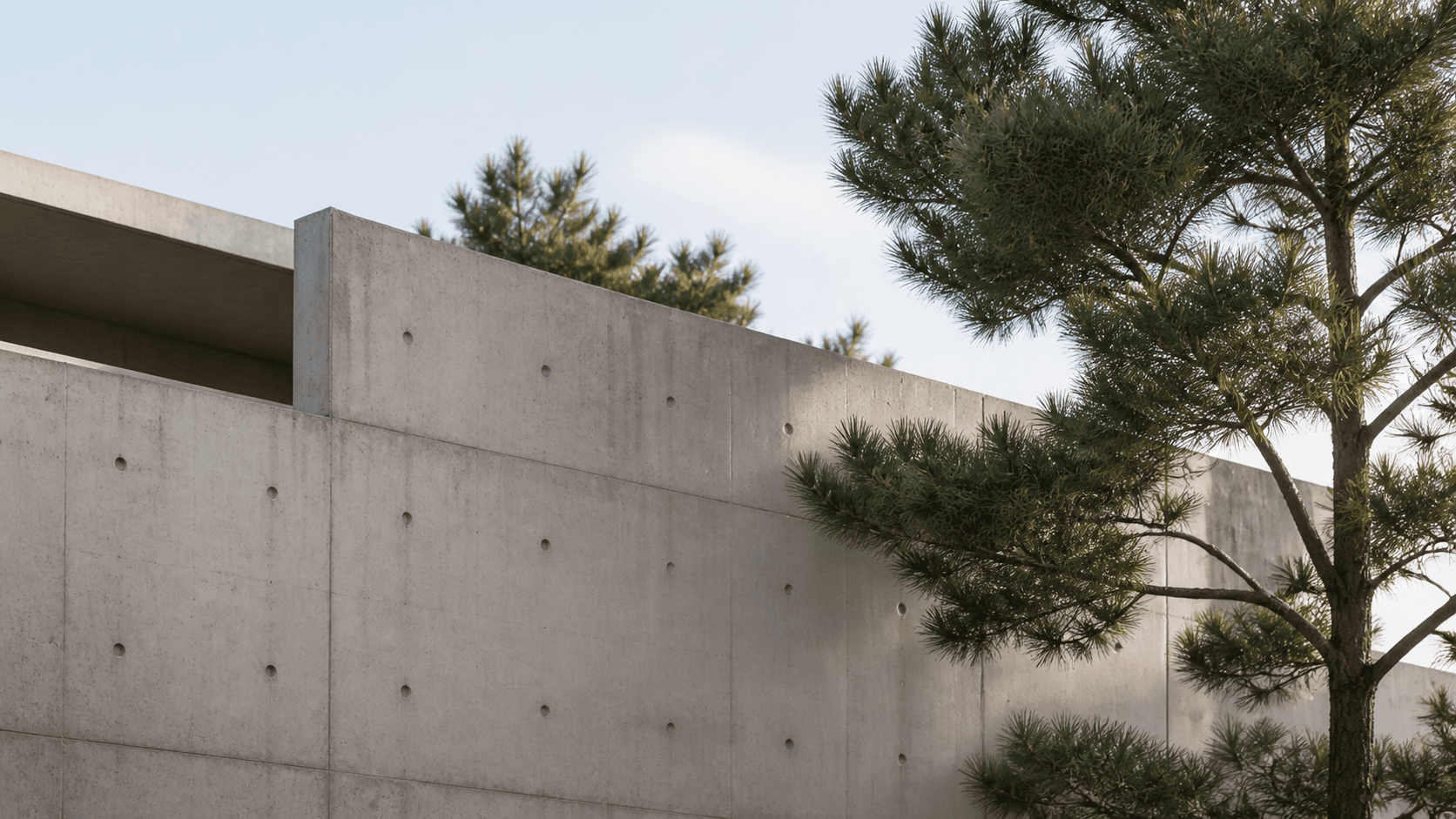Pine Ridge House